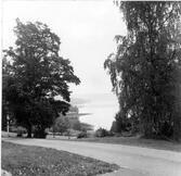 Utsikt från Tuna kyrka.