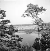 Utsikt från berget vid Hultoms brygga.
