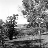 Utsikt från Kapellsbergs gård.