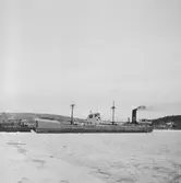 Fartyget Costicos vid kaj

