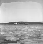 Fartyget Mangarella på Älven

