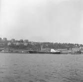 Fartyget Marynarz Migala vid kaj

