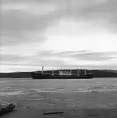 Fartyget Tarantel på Älven

