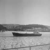 Fartyget Tento på Älven

