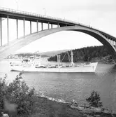 Fartyget Timmerland vid Sandöbron

