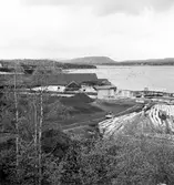 Utansjö Cellulosa AB, bildat 1897 på konsul Fritz Versteeghs förslag för att tillvarata klentimmer. Fabriken togs i drift i mars 1900. 1904 beskrevs fabriken enligt följande i försäkringspappren: Alla fabrikshusen äro uppförda av sten med gavelspetsar av sten och utan överskjutande taksprång av trä samt under tak av asfaltpapp. 