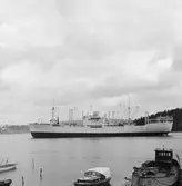 Fartyget Braheholm på Älven

