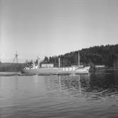 Fartyget Delfin på Älven
