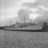 Fartyget Eckerö vid kaj
