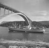 Oidentifierat lastfartyg vid Sandöbron