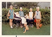 Barn med dockvagnar på gräsmattan på en villatomt på Stensholm i Huskvarna i augusti 1968. Andra flickan från vänster är Erika Karlsson med sin docka Carina i dockvagnen. Till höger står kamraterna Mimmi och Agneta, och på gräset sitter lillebror Rikard. Längst till vänster ytterligare en lekkamrat.