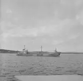 Fartyget Edelgard på Älven

