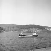 Fartyget Kirsten Frank på Älven