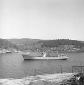 Fartyget Kroonborg på Älven

