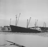 Fartyget Patria vid kaj

