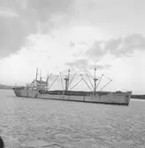 Fartyget Torian på Älven