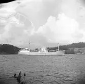 Fartyget Waldemar Peter på Älven

