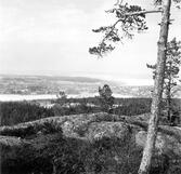 Utsikt från Vårdkasberget