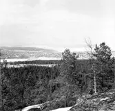 Utsikt från Vårdkasberget