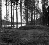 Gravhögarna på Långön i Hotingsjön. 