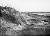 Strandvy med sanddyner i Haverdalsstrand.