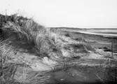 Strandvy med sanddyner i Haverdalsstrand.