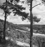 Utsikt från Galgberget i Halmstad. Vägräcket utgörs av stenpollare med kedjor emellan.