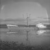 Fartyget Belgian Express på Älven