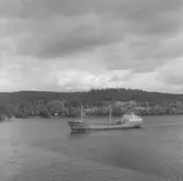 Fartyget Carebeka III på Älven

