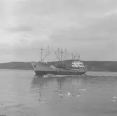 Fartyget Elselotte Rehder på Älven

