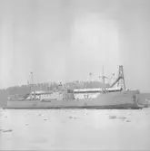 Fartyget Esbjörn Gorthon vid kaj

