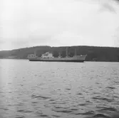 Fartyget Fernwave på Älven