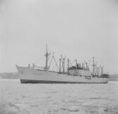 Fartyget Vingaland på Älven

