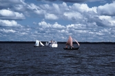 Roddbåt ute på Hjälmaren, 1993