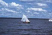 Roddbåt ute på Hjälmaren, 1993