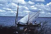 Roddbåtar ute på Hjälmaren, 1993