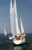 Segelbåtar i tävlingen Hjälmarregattan, 1981
