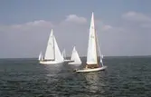 Segelbåtar i tävlingen Hjälmarregattan, 1981