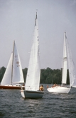 Segelbåtar i tävlingen Hjälmarregattan, 1981