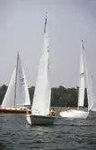 Segelbåtar i tävlingen Hjälmarregattan, 1981