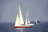 Segelbåtar i tävlingen Hjälmarregattan, 1981