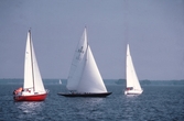 Segelbåtar i tävlingen Hjälmarregatan, 1981