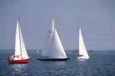 Segelbåtar i tävlingen Hjälmarregatan, 1981