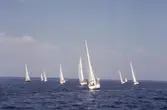 Segelbåtar i tävlingen Hjälmarregattan, 1981