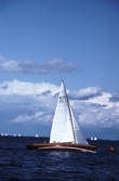 Tävlade segelbåtar, 1993