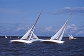 Tävlande segelbåtar, 1993
