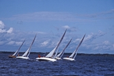 Tävlade segelbåtar, 1993