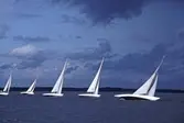 Tävlade segelbåtar, 1993