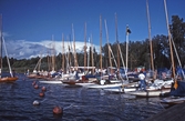 Segelbåtar, 1993