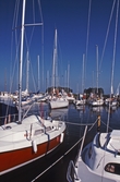 Segelbåtar vid brygga, 1988